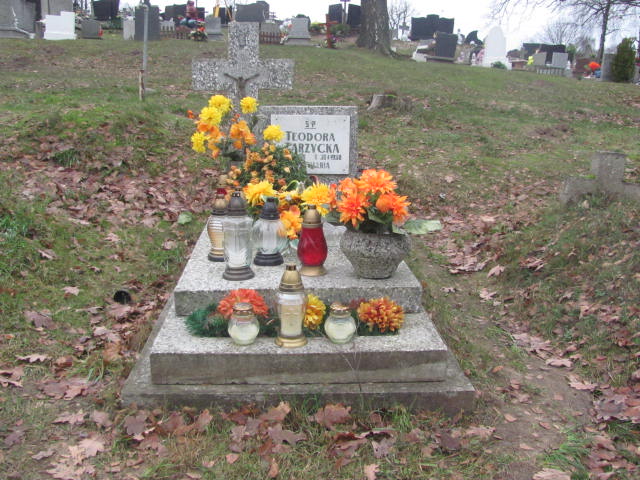 Grób Teodora Zarzycka