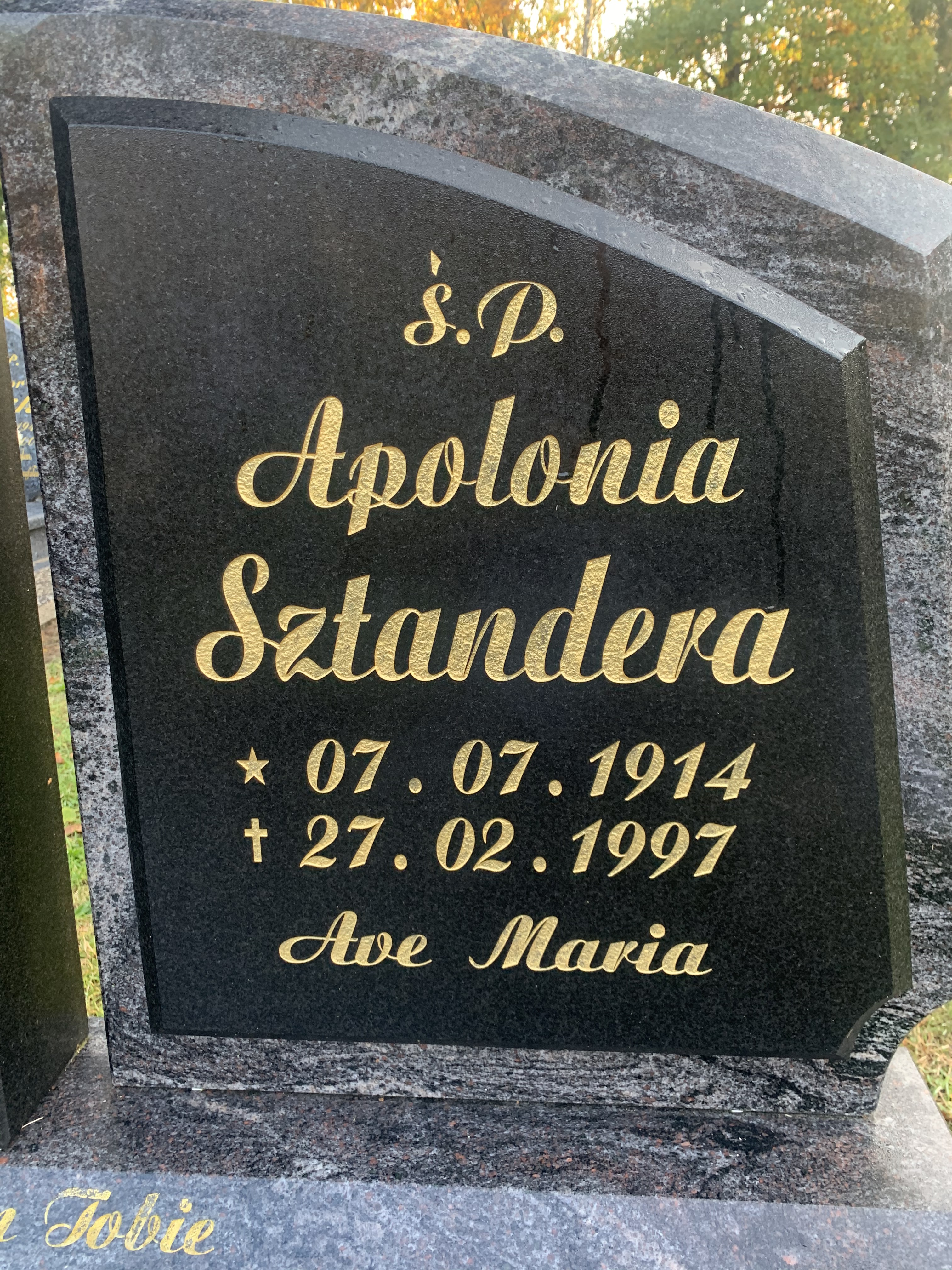 Grób Czesław Pydyn